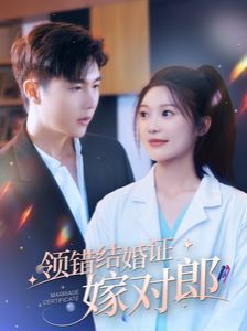 《领错结婚证嫁对郎》海报