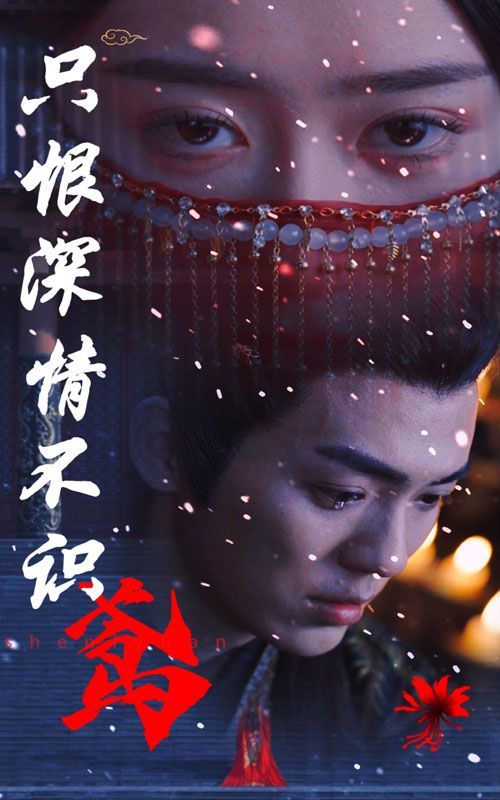 《只恨深情不识鸢》海报