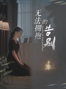 《无法拥抱的告别》海报