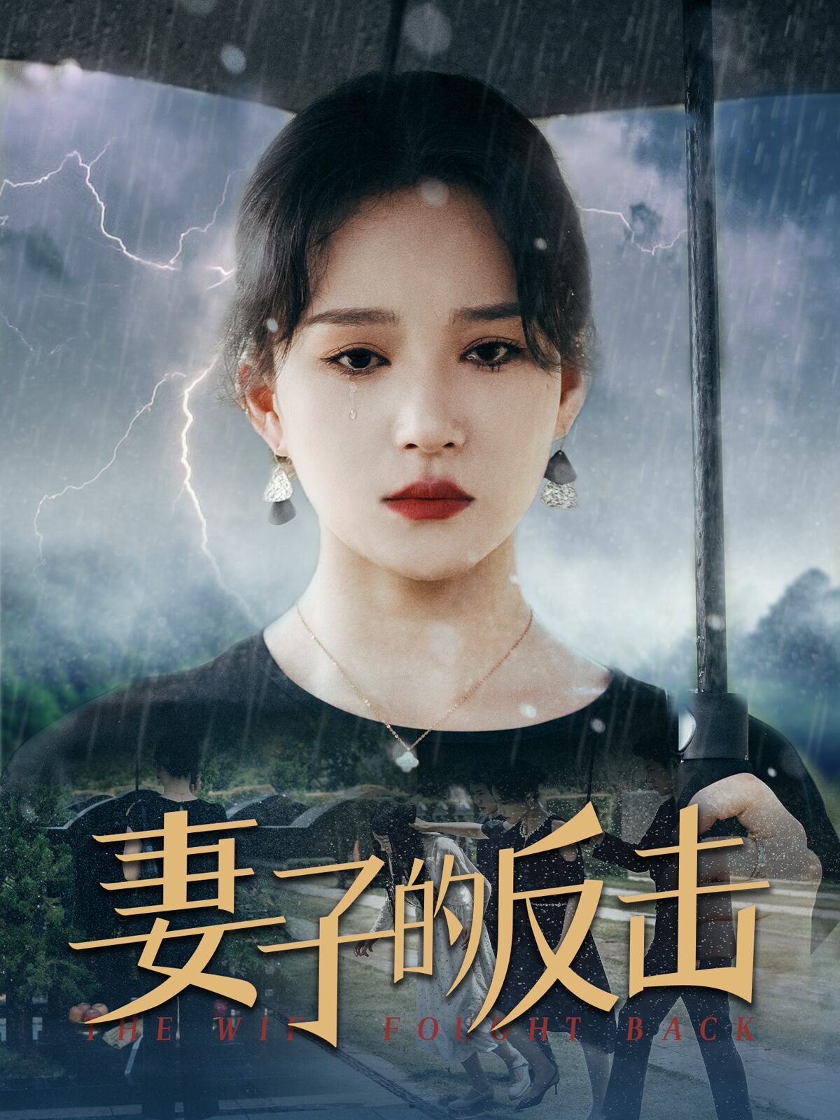 《新妻子的反击》海报