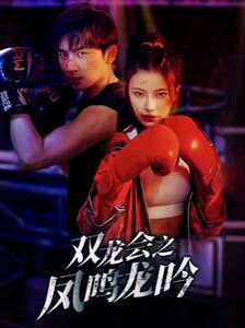 《双龙会之凤鸣龙吟》海报