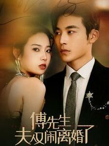 《傅先生夫人又闹离婚了》海报