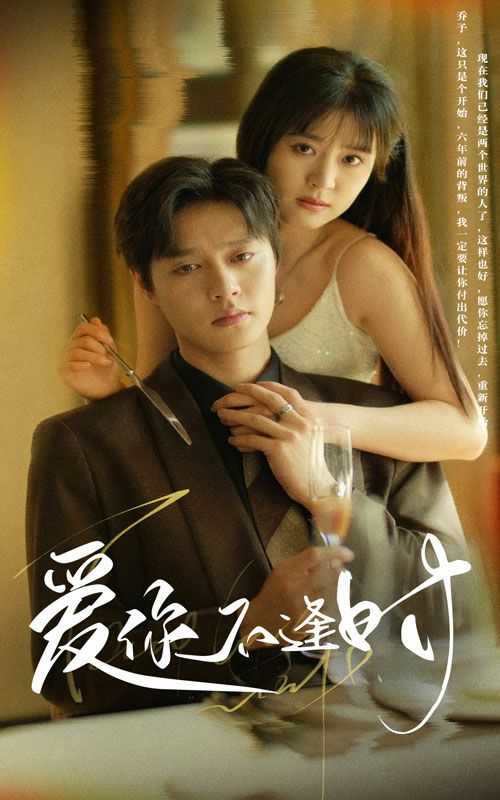 《爱你不逢时》海报