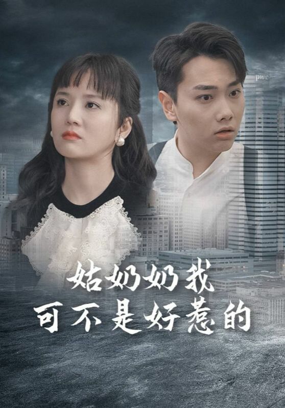 《姑奶奶我可不是好惹的》海报