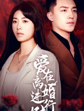 《爱在离婚进行时》海报
