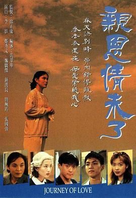 《亲恩情未了》海报