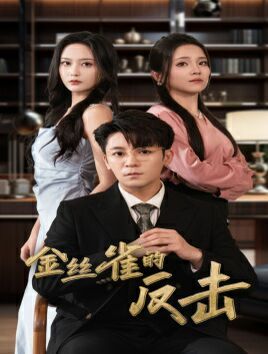 《金丝雀的反击》海报