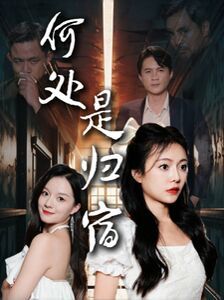 《何处是归宿》海报