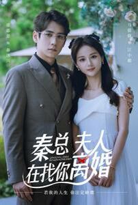 《秦总，夫人在找你离婚》海报