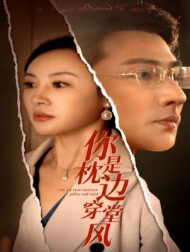 《你是枕边穿堂风》海报