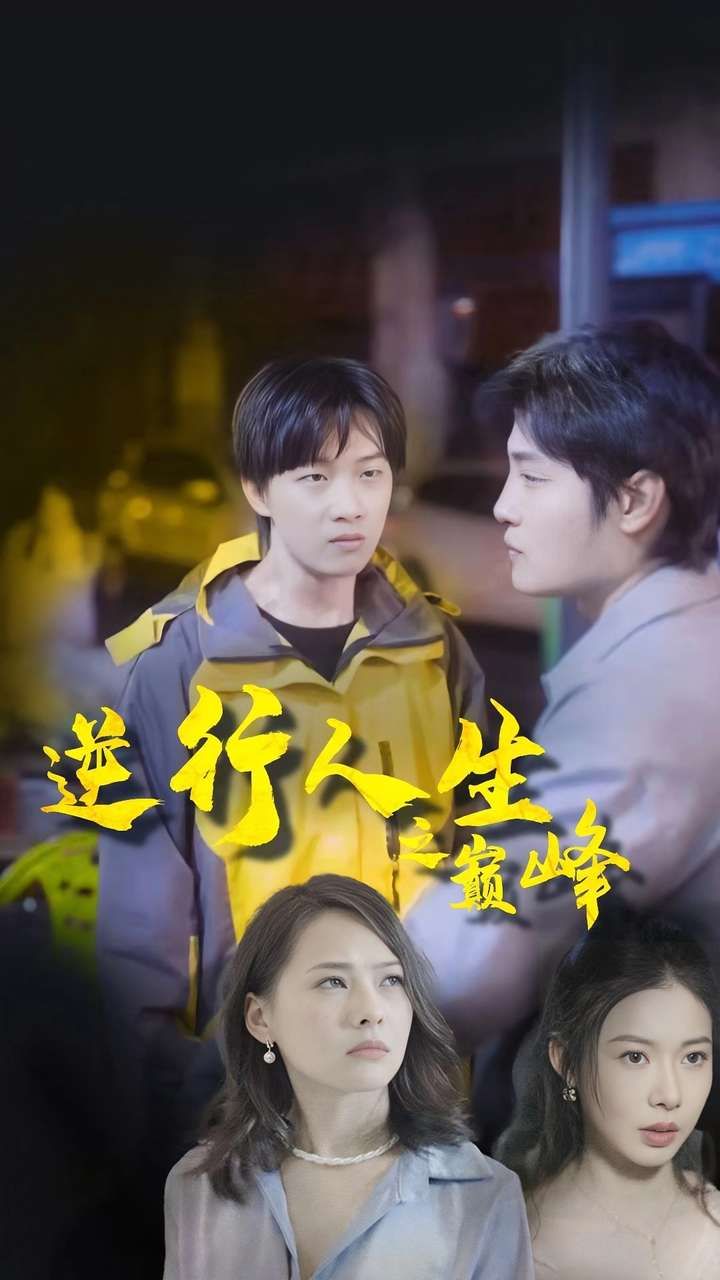 《逆袭人生之巅峰》海报
