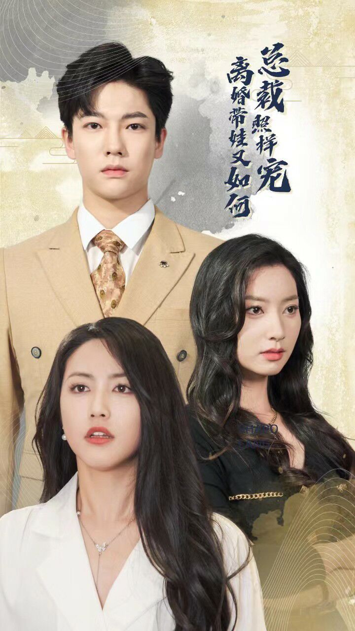 《离婚带娃又如何总裁照样宠》海报