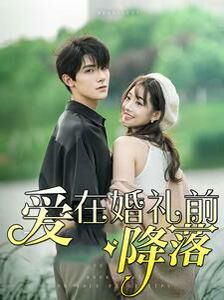 《爱在婚礼前降落》海报