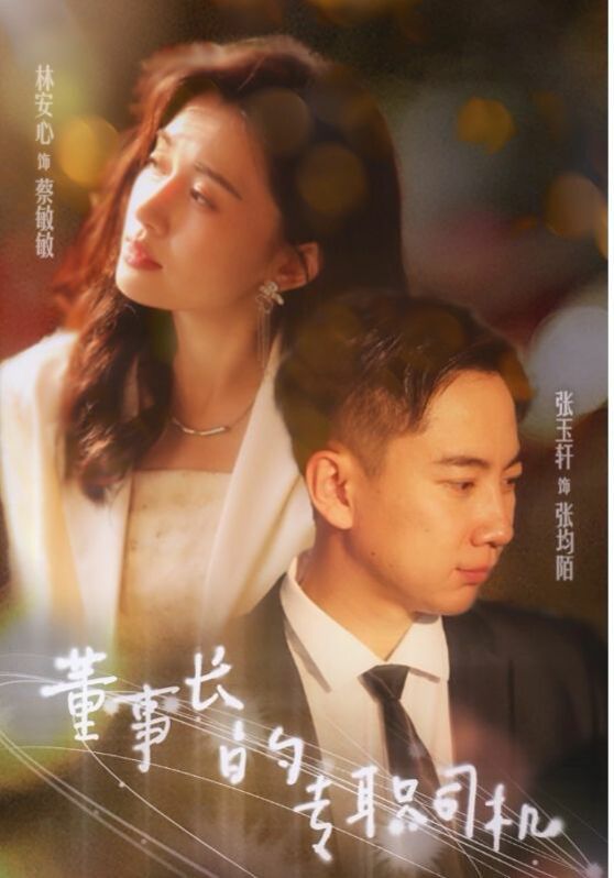 《董事长的专职司机》海报