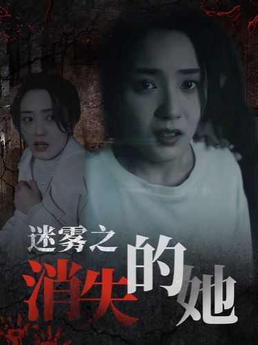 《迷雾之消失的她》海报