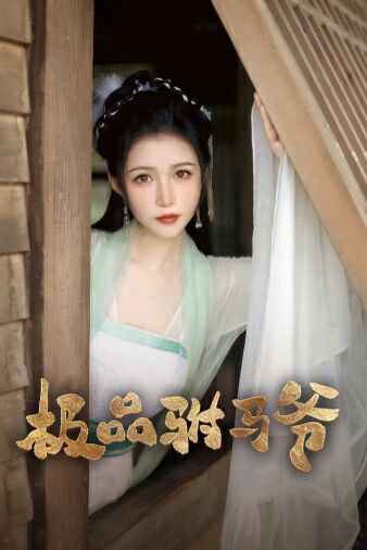 《极品驸马爷》海报