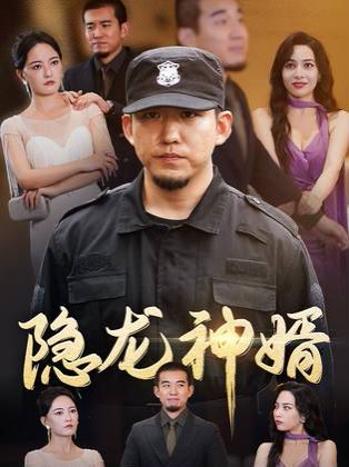 《隐龙神婿》海报