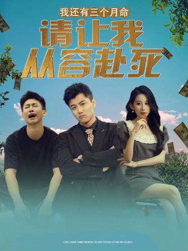《我还有三个月命，请让我从容赴死》海报