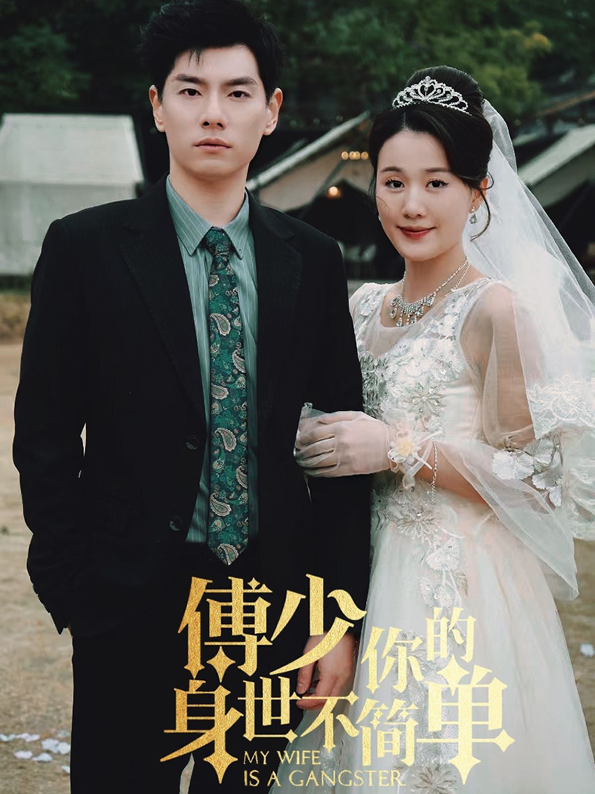 《傅少你的身世不简单》海报