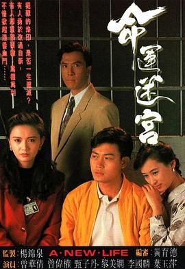 《命运迷宫粤语版》海报