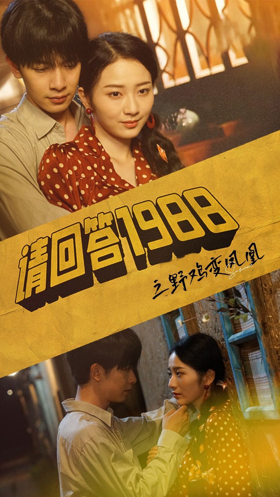 《请回答1988之野鸡变凤凰》海报