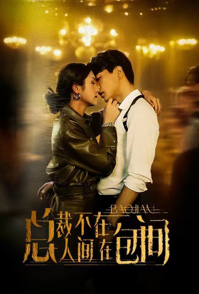 《总裁不在人间在包间》海报