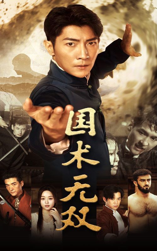 《国术无双》海报