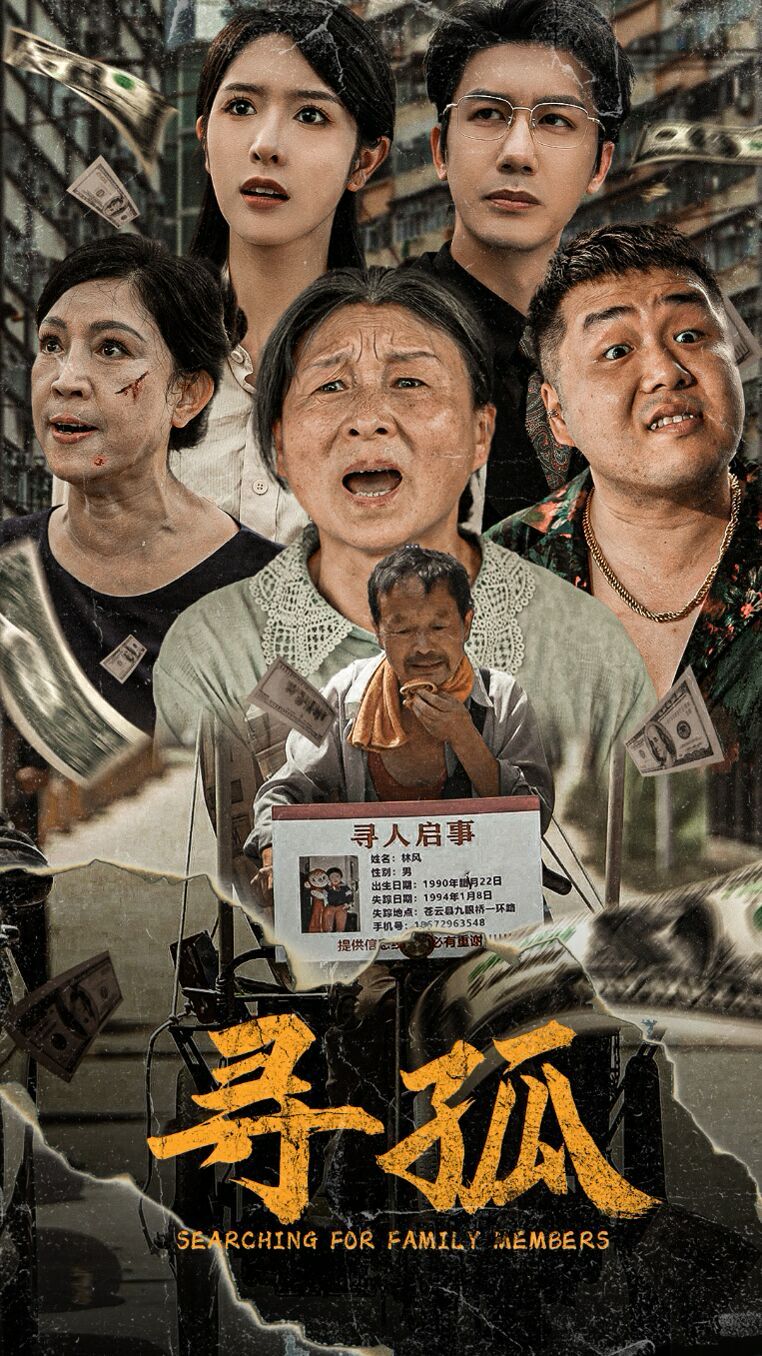 《寻孤》海报