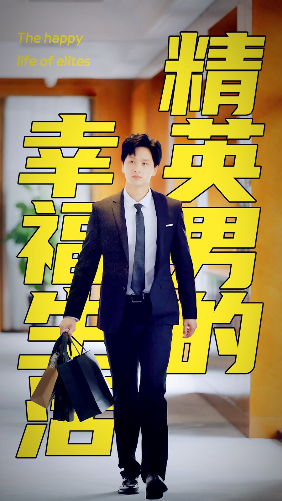 《精英男的幸福生活》海报