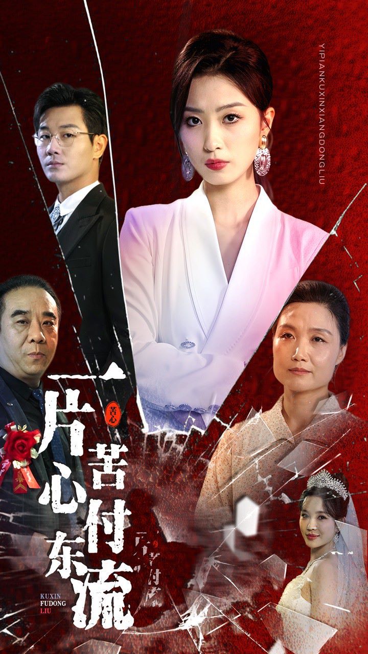 《一片苦心付东流（女儿的荣耀）》海报