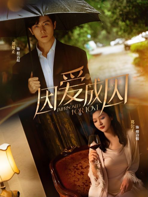 《因爱成囚》海报
