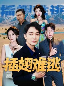 《插翅难逃》海报