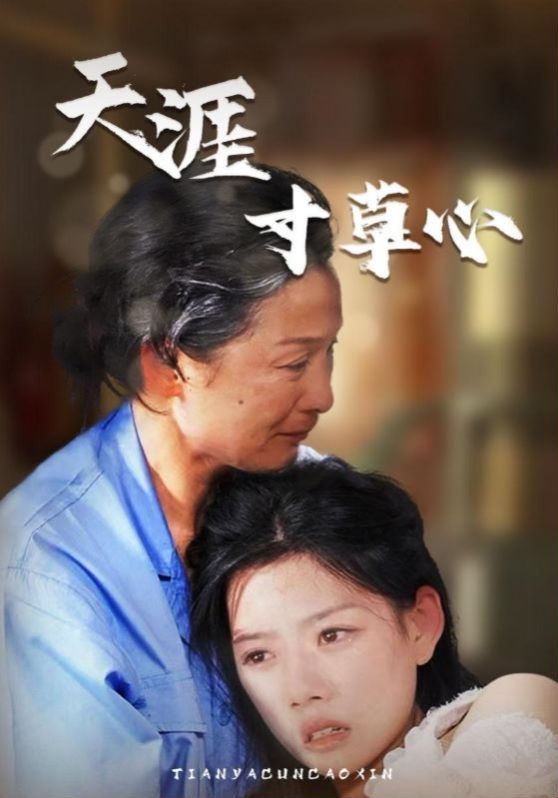 《天涯寸草心》海报