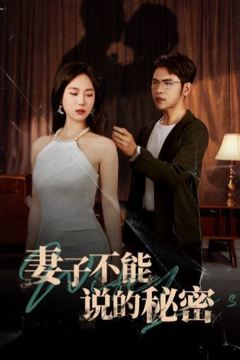 《妻子不能说的秘密》海报
