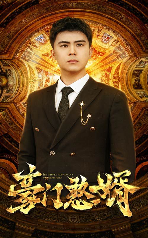 《豪门憨婿》海报