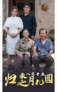 《归来之八月十五月儿圆》海报