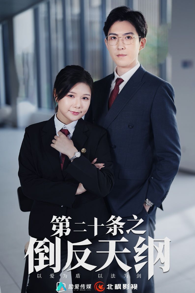《第二十条之倒反天纲》海报