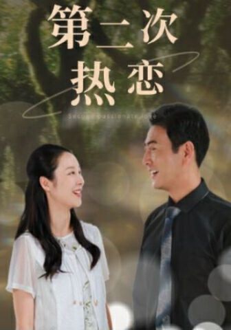 《第二次热恋》海报