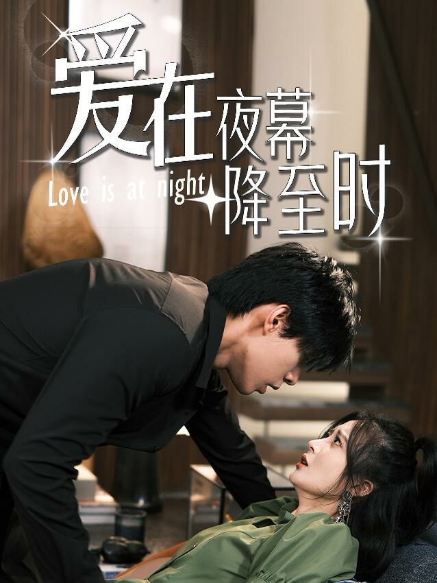 《爱在夜幕降至时》海报