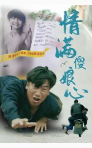 《情满傻娘心》海报