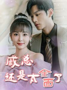 《戚总还是太全面了(戚总今天追到夫人了么)》海报
