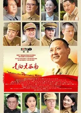 《走向大西南》海报
