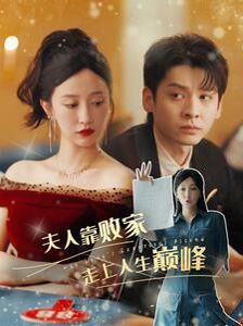 《夫人靠败家走上人生巅峰》海报