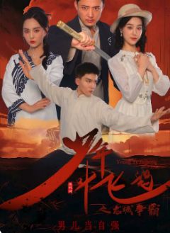 《少年叶飞鸿之龙城争霸》海报