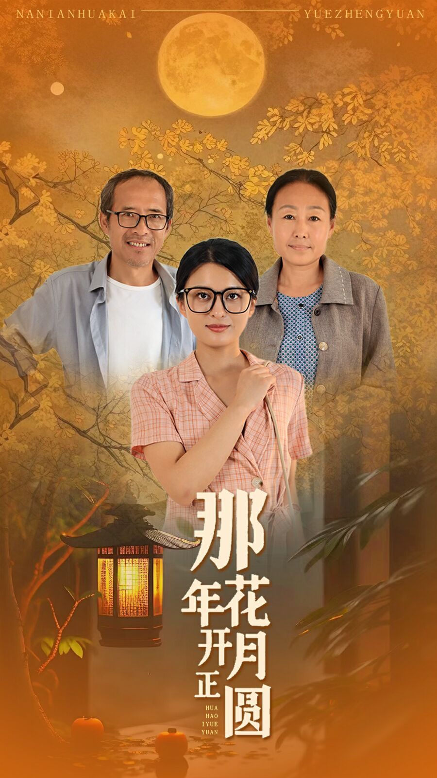 《那年花开月正圆》海报