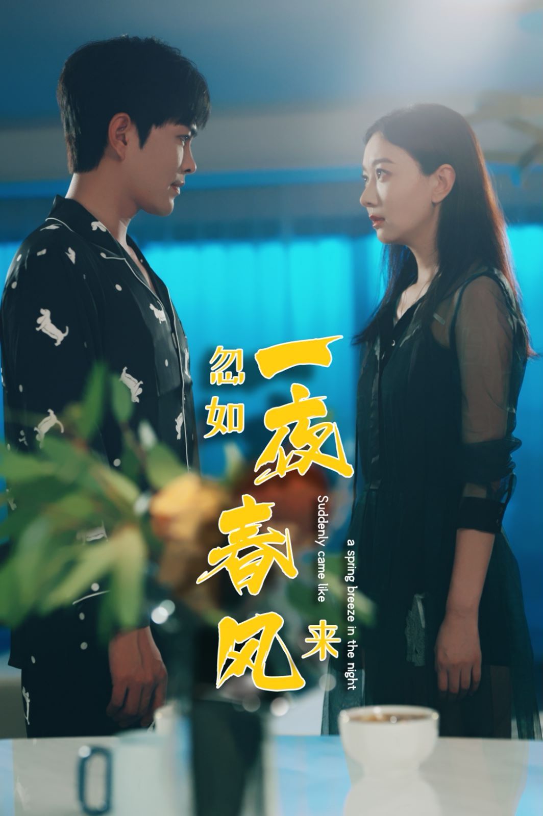 《忽如一夜春风来》海报
