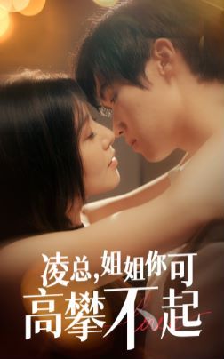 《凌总姐姐你可高攀不起》海报
