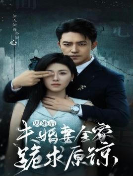 《毁婚后未婚妻全家跪求原谅》海报