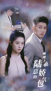 《缠她上瘾陆总的娇气包》海报