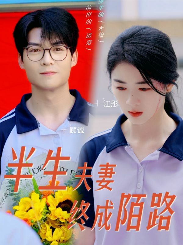 《半生夫妻终成陌路》海报
